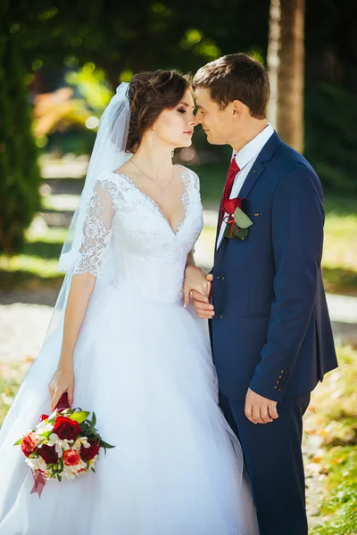 Hermoso verano Paseo de bodas en la naturaleza —  Fotos de Stock