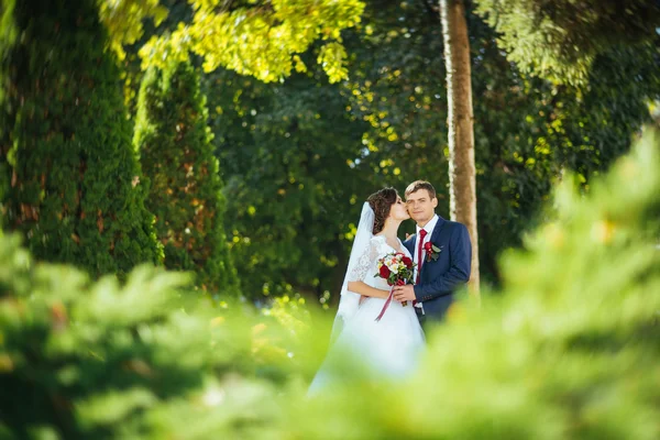 Bel été Marche de mariage sur la nature — Photo