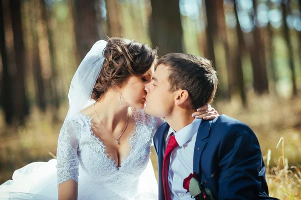 Vacker sommar bröllop gå på natur — Stockfoto