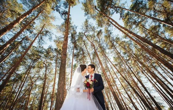 Belo verão Caminhada de casamento na natureza — Fotografia de Stock