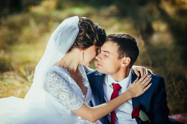 Hermoso verano Paseo de bodas en la naturaleza —  Fotos de Stock