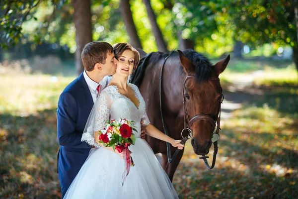 Hermoso verano Paseo de bodas en la naturaleza —  Fotos de Stock