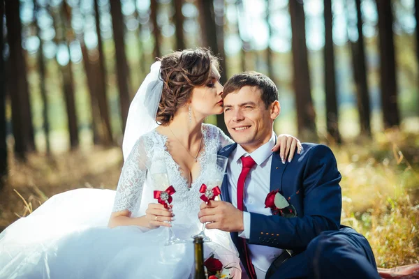 Schöne Sommerhochzeitswanderung in der Natur — Stockfoto