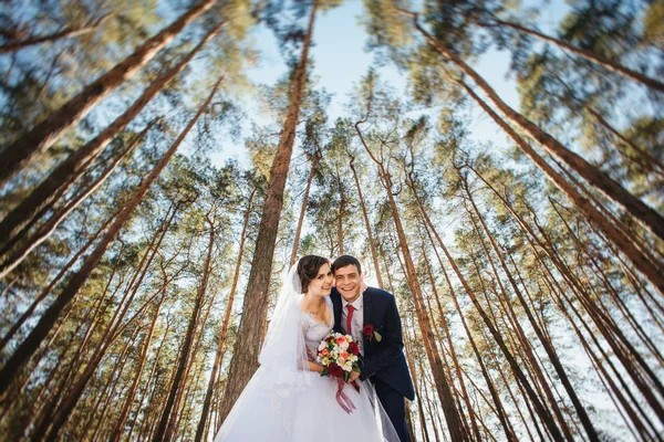 Güzel yaz doğa yürüyüşüne düğün