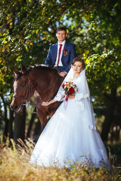 Belo verão Caminhada de casamento na natureza — Fotografia de Stock