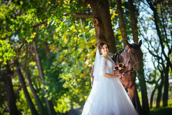 Promenade de mariage sur la nature avec cheval — Photo