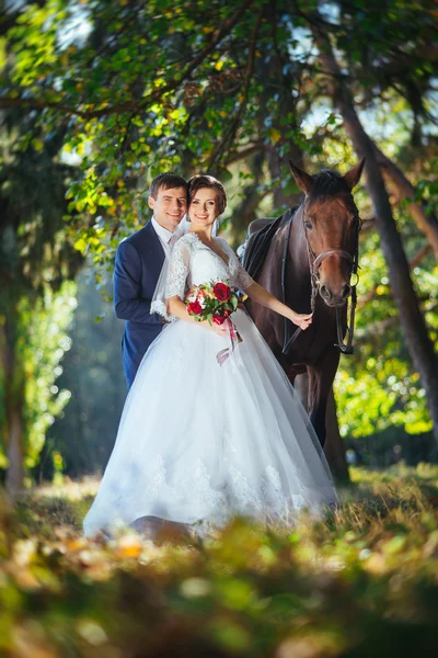 Прекрасне літо Весільна прогулянка на природі — стокове фото