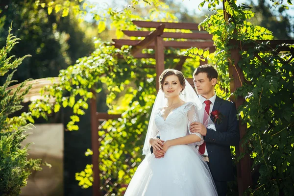 Belo verão Caminhada de casamento na natureza — Fotografia de Stock