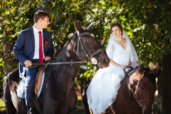 Belo verão Caminhada de casamento na natureza — Fotografia de Stock