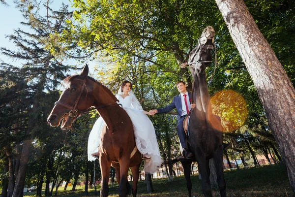 Mooie zomerse bruiloft wandeling over de natuur — Stockfoto