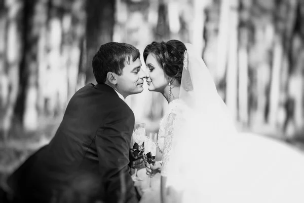 Hermoso verano Paseo de bodas en la naturaleza —  Fotos de Stock