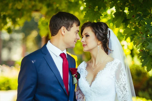 Hermoso verano Paseo de bodas en la naturaleza —  Fotos de Stock