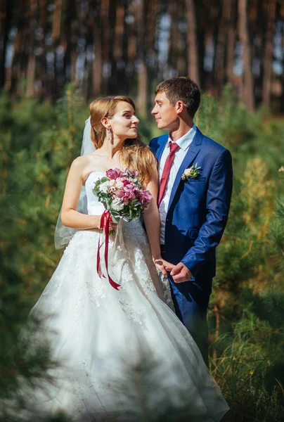 Doğa yürüyüşüne düğün