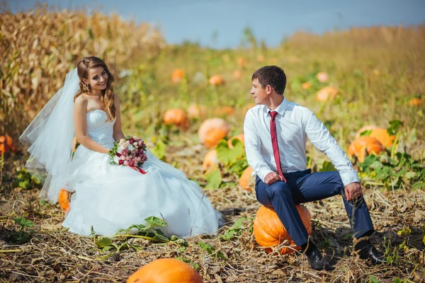 Promenade de mariage sur la nature — Photo