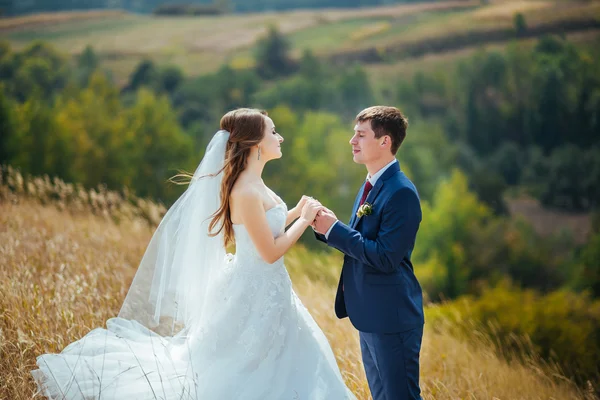 Caminhada de casamento na natureza — Fotografia de Stock