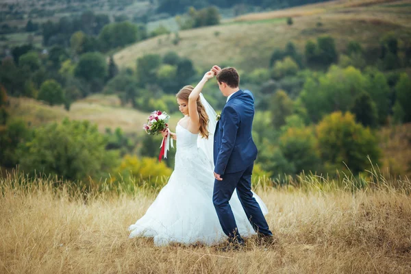 Boda paseo por la naturaleza —  Fotos de Stock