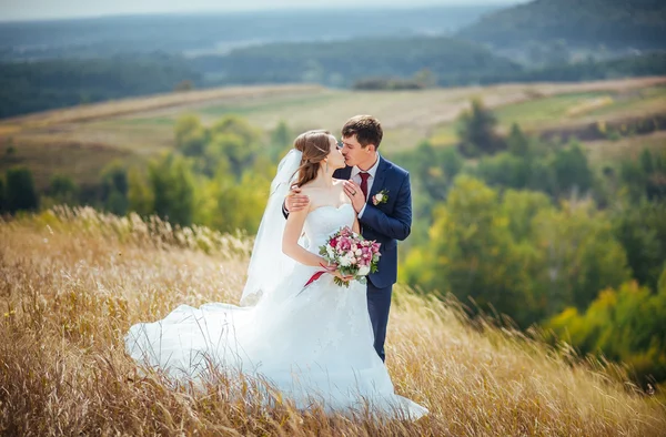 Caminhada de casamento na natureza — Fotografia de Stock