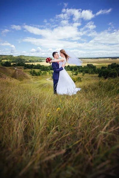 Bröllop promenad på natur — Stockfoto