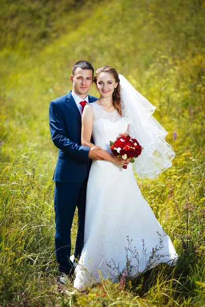 Caminhada de casamento na natureza — Fotografia de Stock