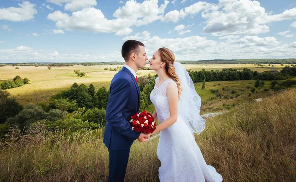 Caminhada de casamento na natureza — Fotografia de Stock