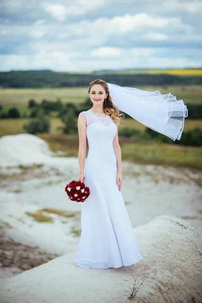 Portrait de mariée sur la nature — Photo