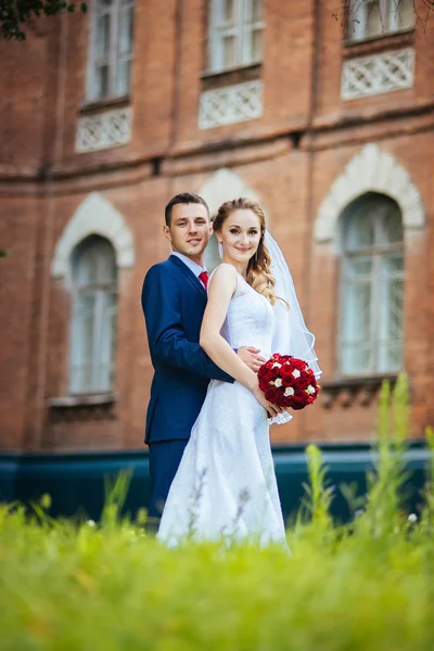 Wedding walk on nature — Stock Photo, Image