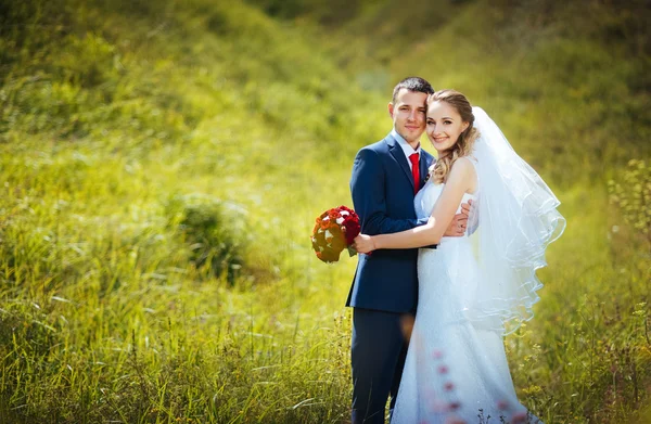 Promenade de mariage sur la nature — Photo