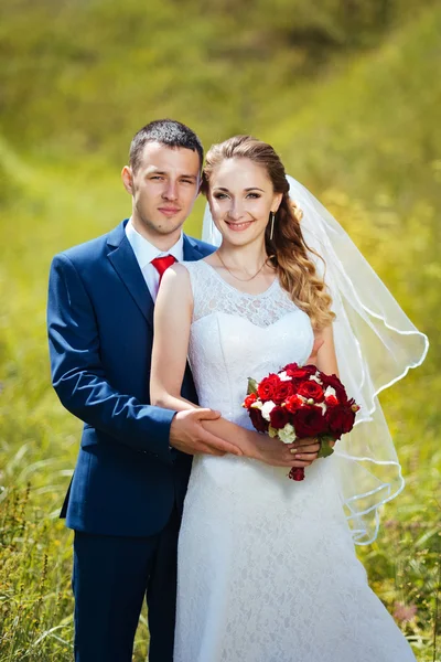 Boda paseo por la naturaleza —  Fotos de Stock