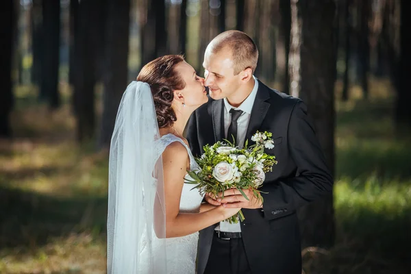 Hermoso verano Paseo de bodas en la naturaleza —  Fotos de Stock