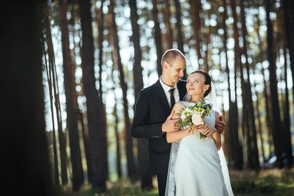 Schöne Sommerhochzeitswanderung in der Natur — Stockfoto