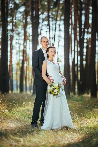 Vacker sommar bröllop gå på natur — Stockfoto