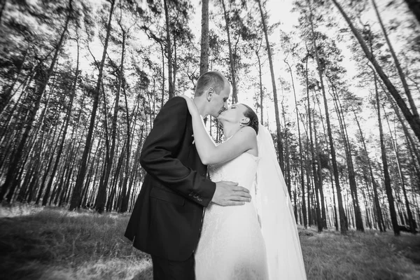 Vacker sommar bröllop gå på natur — Stockfoto