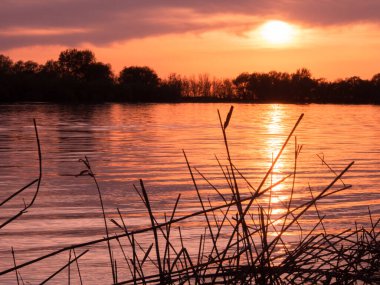 Nehirde güzel bir gün batımı. Bir resim için güzel bir manzara.