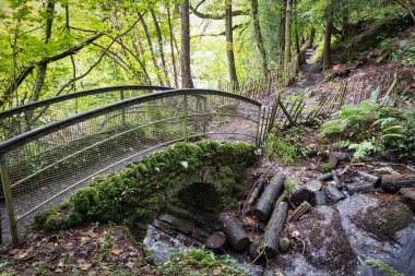 A small bridge for walkers  in Roe Valley Country park near Limavady Northern Ireland