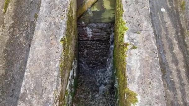 Video Water Trickling Out Dam Small Lake Ireland — Stockvideo