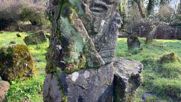 Древняя Каменная Резная Фигура Старинный Двор Острове Боа Северной Ирландии — стоковое видео
