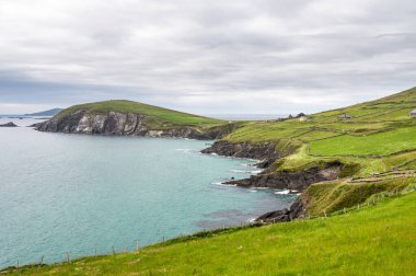Dunmore Head İrlanda 'daki Dingle yarımadasında