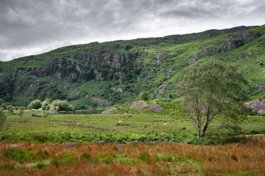 İrlanda 'nın Cork ilçesindeki Gougane Barra' daki dağcılar arasındaki vadi.