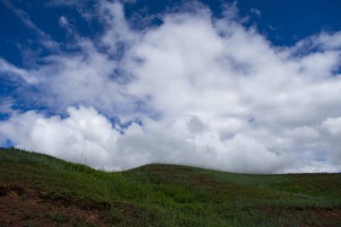 summer clouds and a green field