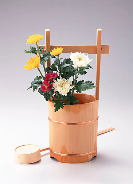 Kbelík Chryzantéma Dřevěném Květináči Kvetoucí Nabídka Koncept Japonských Sezónních Událostí — Stock fotografie
