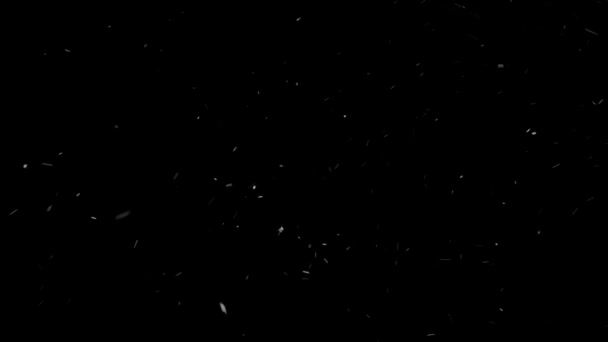 Переконані Реалістичні Падаючі Сніжинки Ізольованому Фоні Snow Fall White Snowflake — стокове відео