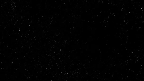 Зацикленные Реалистичные Падающие Снежинки Изолированном Фоне Снегопад Белый Снежок Икс — стоковое видео