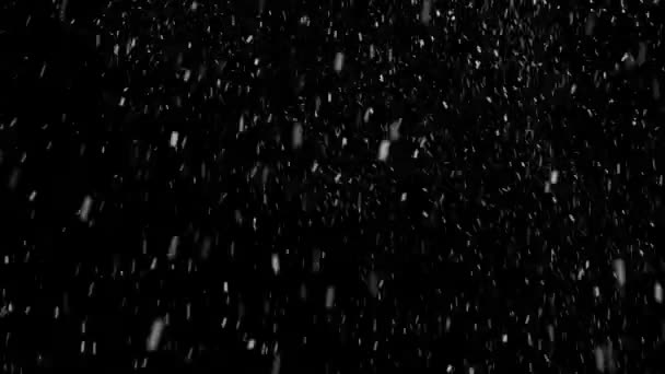 Looped Realistic Falling Snowflakes Izolated Background Snow Fall White Snowflake — Stock video