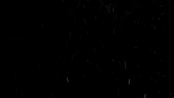 Looped Realistic Falling Snowflakes Isolated Background Snow Fall White Snowflake — Vídeo de Stock