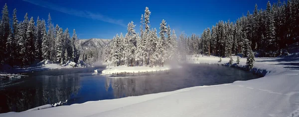 Vista Panorámica Del Paisaje Invernal Árboles Cubiertos Nieve Bosque Nevado —  Fotos de Stock