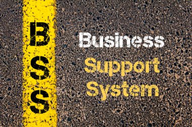 Business Acronym BSS Business Support System