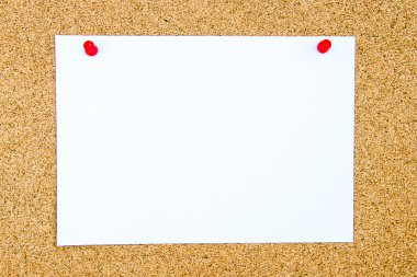 Boş beyaz kağıt Not mantar tahta üzerinde sabitlenmiş 