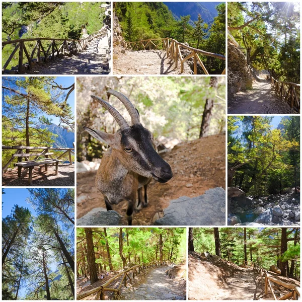 Photo collage of Samaria Gorge images in central Crete, Greece — Stock Photo, Image
