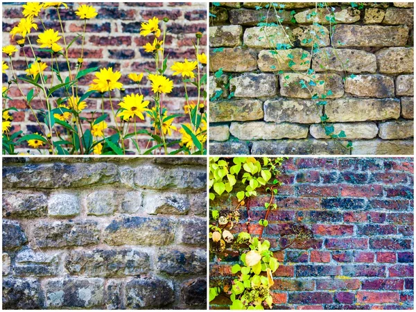 Photo collage of stone wall backgrounds with ivy leaves — Stock Photo, Image