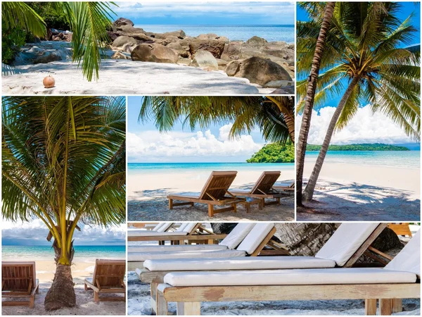 ヤシの木と熱帯のビーチの写真のコラージュ — ストック写真
